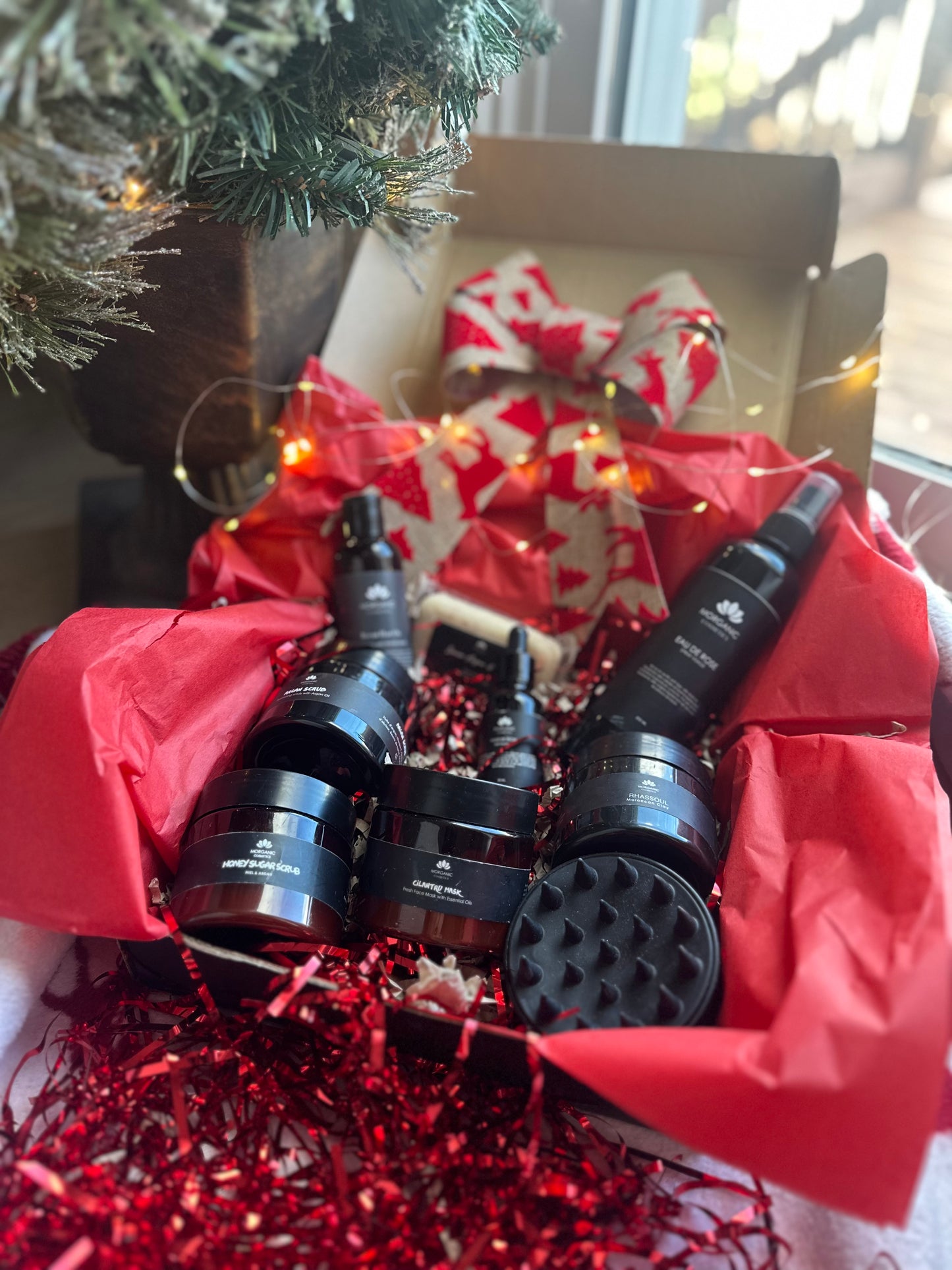 Édition Limitée 🎄